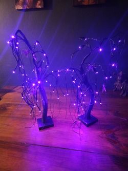 Pair of Pre-Lit Black Halloween Willow Trees - Spooky Tabletop LED Decor with Spiders & Bats Set of 2