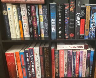 Large Young Adult Fiction Book Collection (look at description)