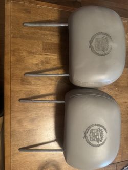 Escalade  Headrest