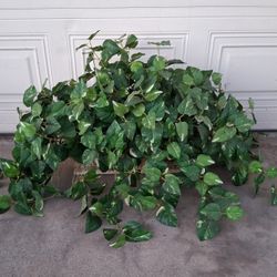 Large Artificial Pothos Plant 