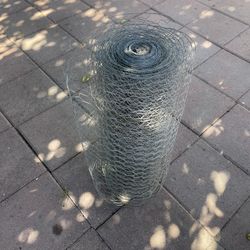 Chicken Wire
