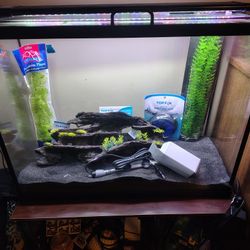 Fish Tank