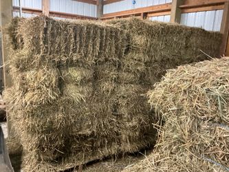 Hay for sale