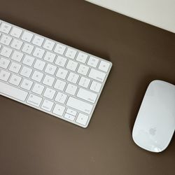 Apple Magic Keyboard & Magic Mouse — Wireless, Excellent Condition