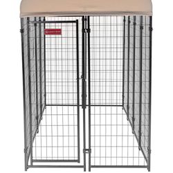 Dog Kennel Run