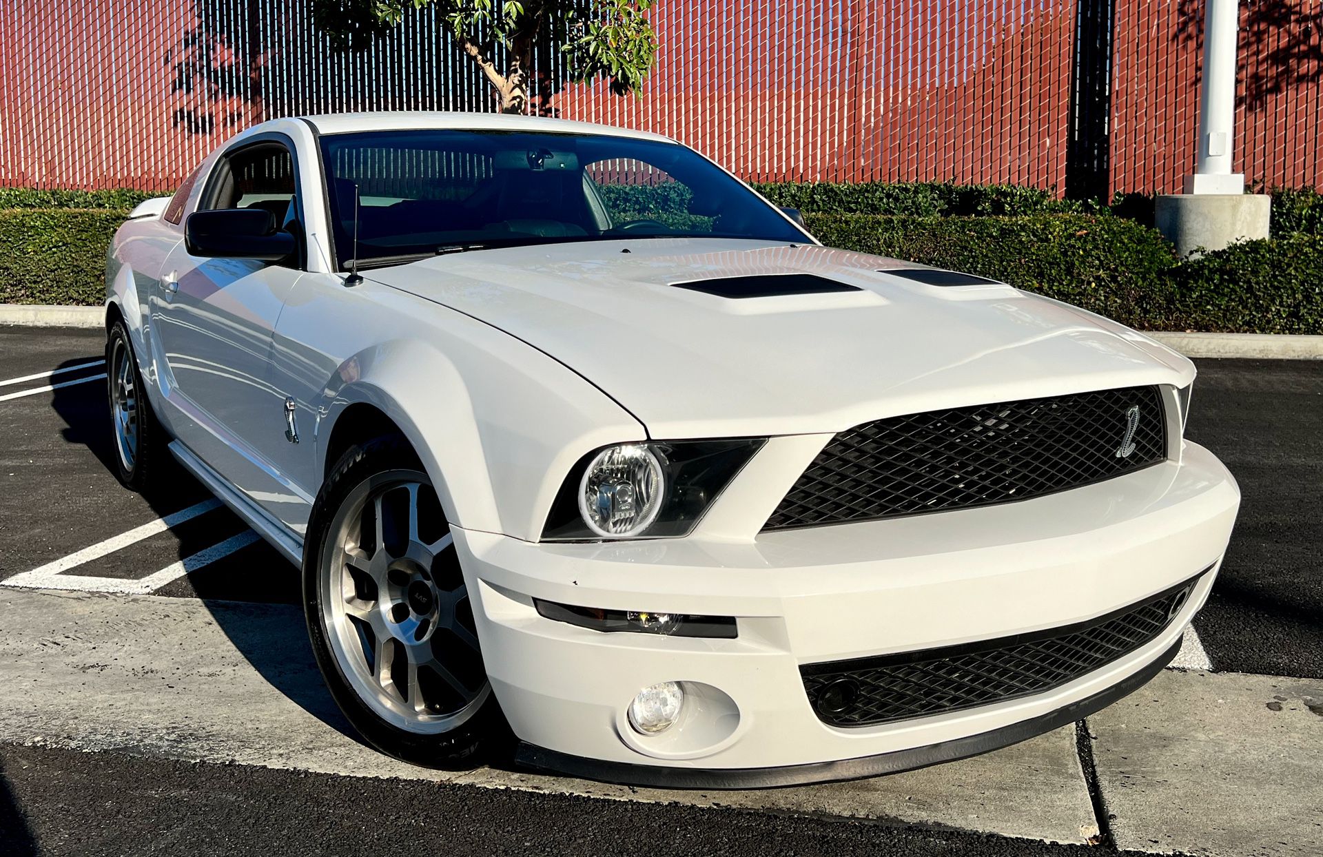 2009 Ford Shelby Gt500