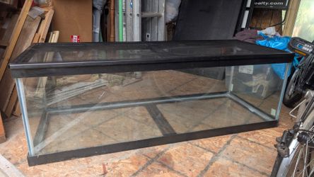 63 Gallon breeder aquarium