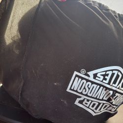 Harley Davidson Helmet 