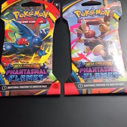 POKÉMON MEGA EVOLUTION 