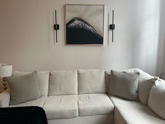 Two Large Throw Pillows