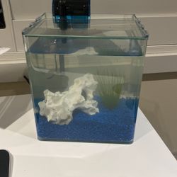 Fish Tank Never Been Used
