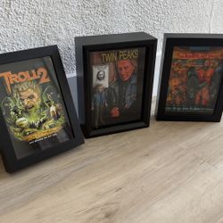Shadow Boxes/Framed Art