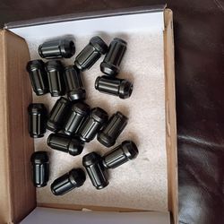 Autoptim lug nuts