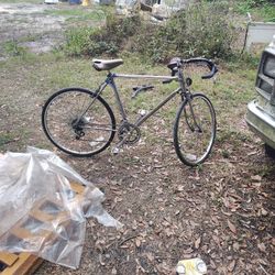 10 Speed Aerowind Bicycle 