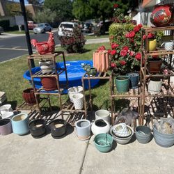 Plant Pot Lot