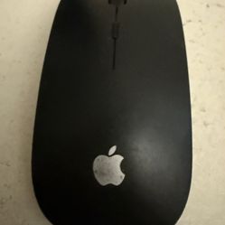 Apple wireless mouse working perfectly AAA batteries required MB-BC 12-2014 98 windows