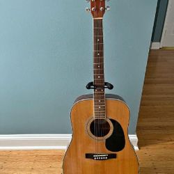 Discover Your Melody with Our High-Quality Acoustic Guitar Collection successful them