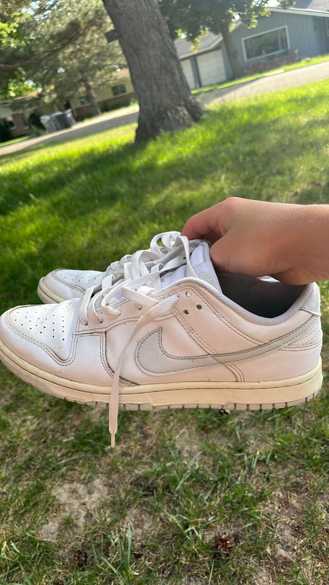 Nike Dunk Size 8.5