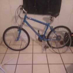Diamond Back Wildwood Bike 