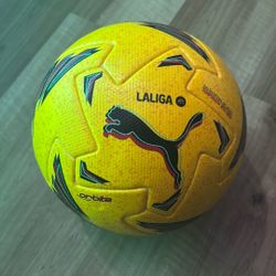 La Liga Official Match Ball 