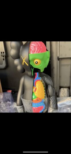Kaws Open Flayed Companion 