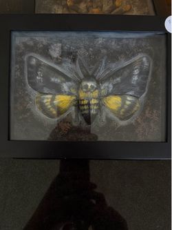 3-D moth hang up