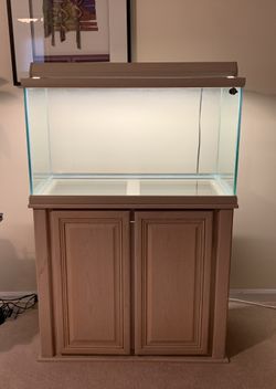 60 Gallon Aquarium (Extra High Stand)
