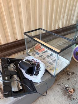 Free Items