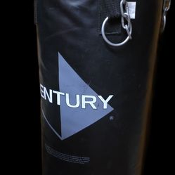 Century Hanging Punching Bag With Everlast Gloves sz 12 