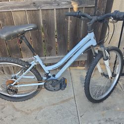 Bike Roadmaster Needs Ires 