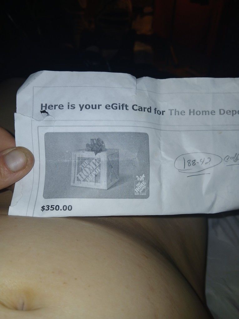 Home Depot Ecard 350