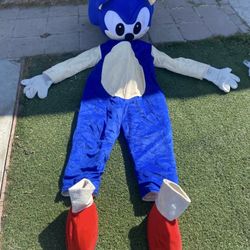 Sonic The Hedgehog Costume 