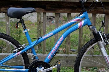 Murray bayberry mountain bike sale