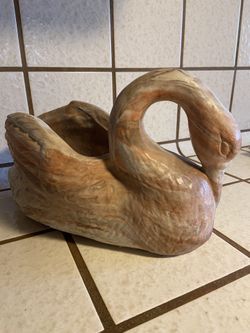 Swan