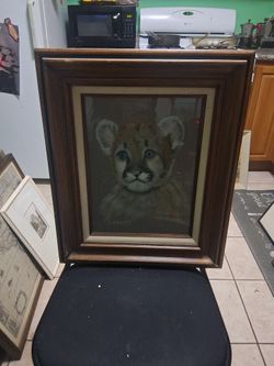 11x16 Wildlife Portrait
