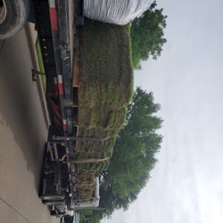 Grass Sod For Sale