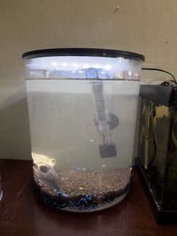 Aquarium tank