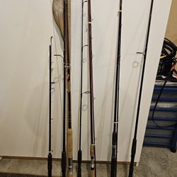 Fishing Reel and Various Rods