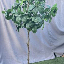 decorative plant 70” IKEA 