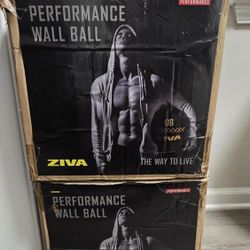 Ziva Fitness Performance Bags & Wall Balls 