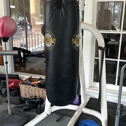 Heavy Bag  and Stand