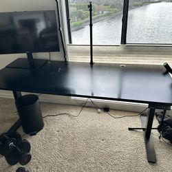 Stand Up Desks
