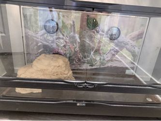 Sulcata tortoises habitat