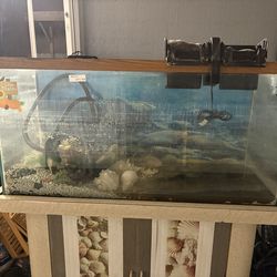 75 gallon fish tank and stand no lights or hood