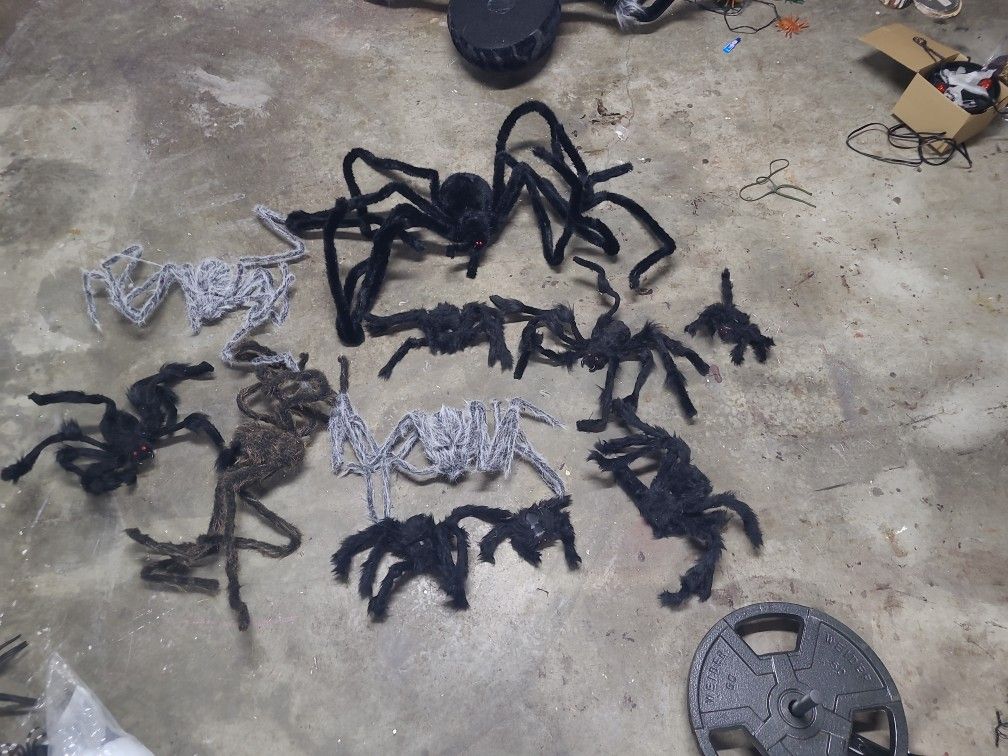 Halloween Spiders - Lot