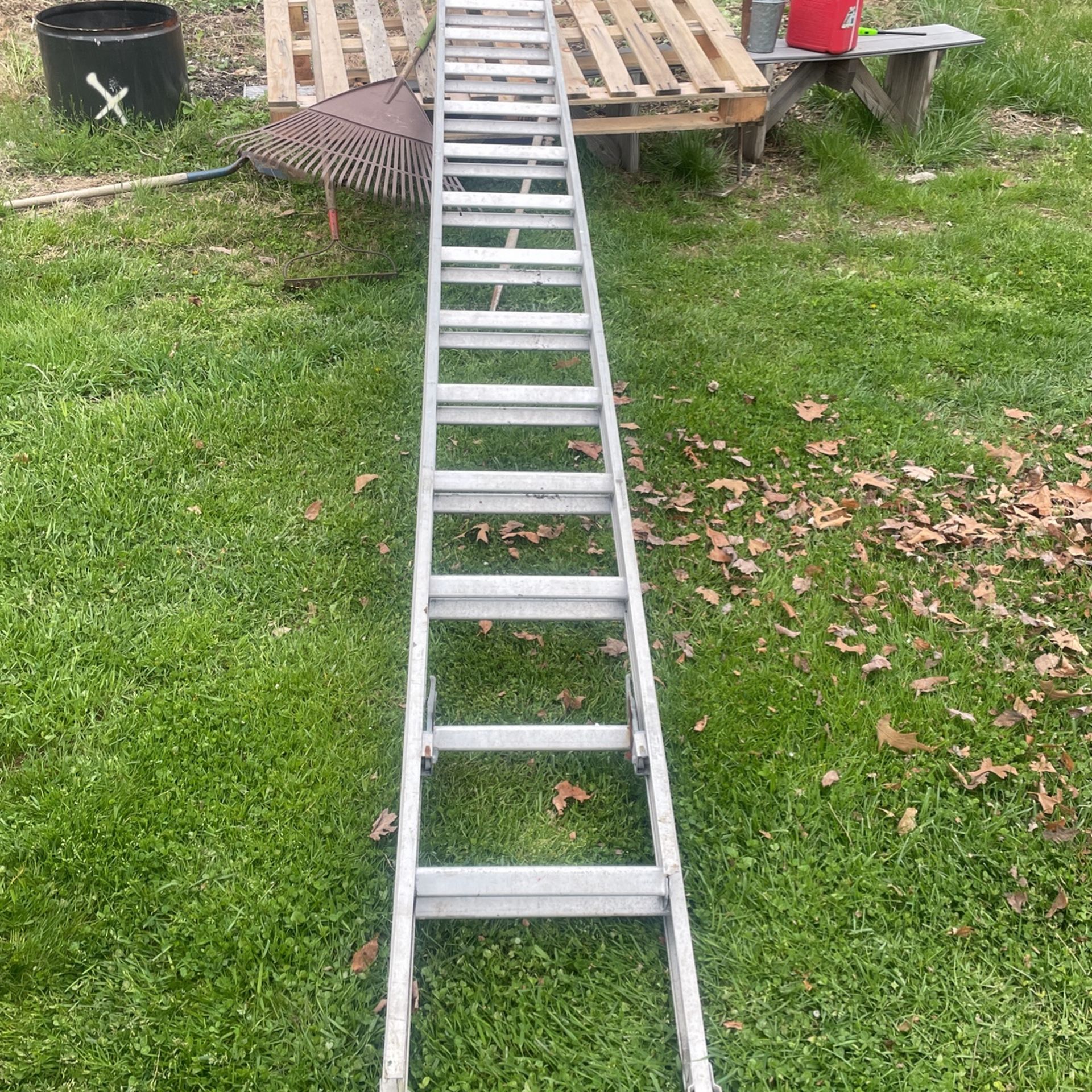 Ladder