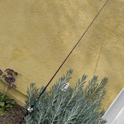 Seeker Bass Rod + Shimano Tranx 200