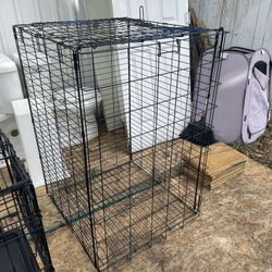 Pets Gage- Dogs ,birds ETC