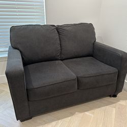 Coach W/ Bed