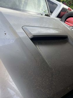 Toyota Tacoma Sport Hood 2023